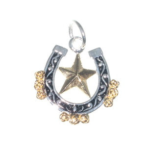 Lucky Horseshoe & Star Pendant | Oxidized Silver with Gold-Plated Star & Rose Clusters